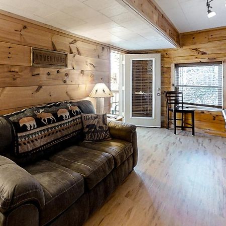 Bearadise Resort 개틀린버그 외부 사진