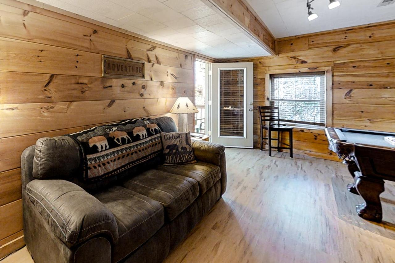 Bearadise Resort 개틀린버그 외부 사진